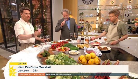 JÄRN i Nyhetsmorgon – Paloma-premiär på TV4